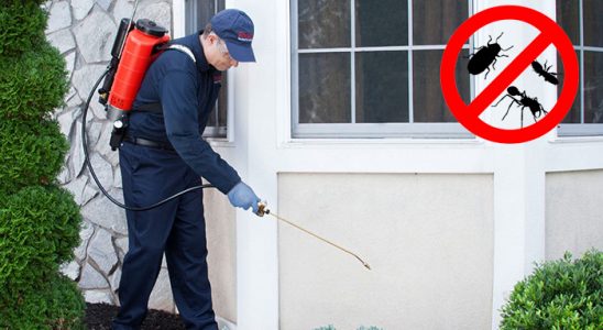Palu Gümüşkurt İlaçlama böcek ilaçlama ve haşere kontrolü — ilaclama-tr.com